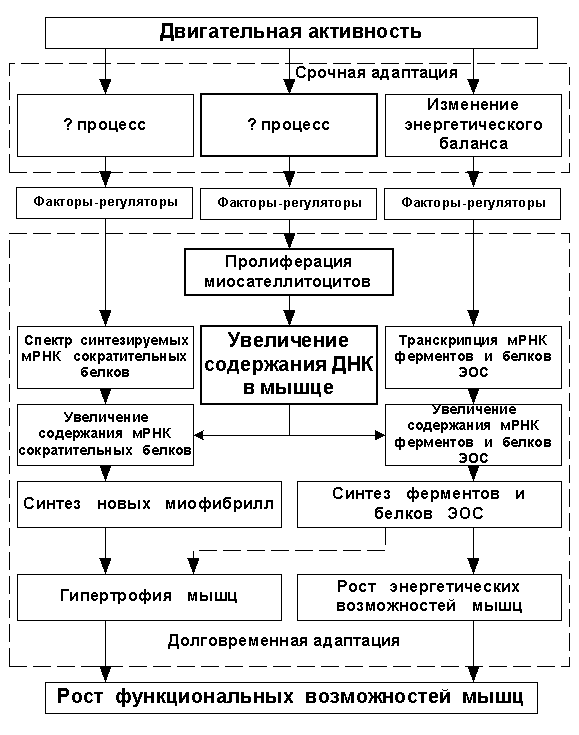 Рисунок 3