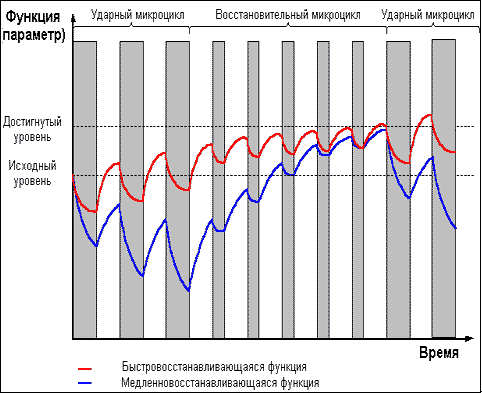 Рисунок 5