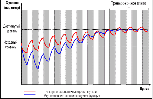 Рисунок 6